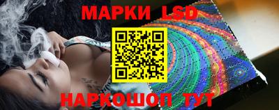 гидра Камышлов