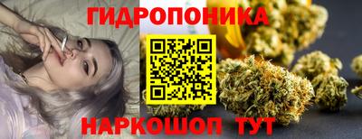 крисы Канаш