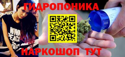 крисы Канаш