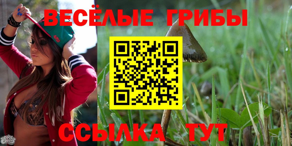 Псилоцибиновые грибы ЛСД Кушва